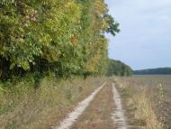 Трубочка з panoramio.com