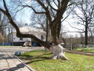 Верхівня з panoramio.com