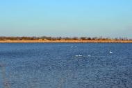 Дарівка з panoramio.com