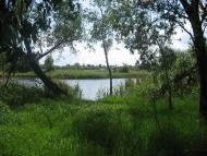 Бирлівка з panoramio.com