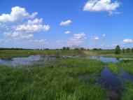 Піски з panoramio.com