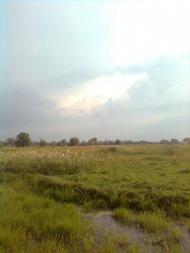 Копанки з panoramio.com