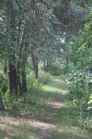 Шилівка з panoramio.com