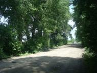 Черепова з panoramio.com