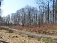 Кобалевиця з panoramio.com