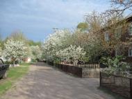 Киселівка з panoramio.com