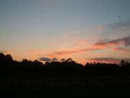 Рижики з panoramio.com