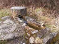 Новий Мізунь з panoramio.com - Novyy Mizun