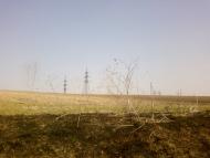 Великий Омеляник з panoramio.com