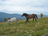 Климпуші з panoramio.com