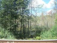 Купине з panoramio.com