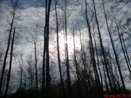 Ображіївка з panoramio.com