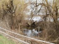 Косанове з panoramio.com