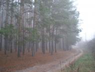 Нова Буда з panoramio.com