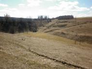 Хоменки з panoramio.com