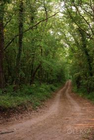 Фронтове з panoramio.com