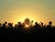 Сніжна з panoramio.com