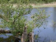 Тишківка з panoramio.com