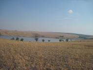 Куряче з panoramio.com