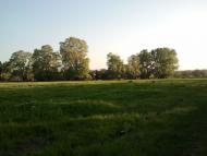 Вишневе з panoramio.com