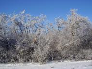 Олександропілля з panoramio.com