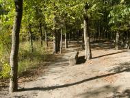 Данилівка з panoramio.com