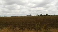 Піщанка з panoramio.com - Песчанка
