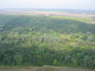 Заможнє з panoramio.com