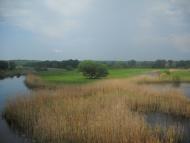 Сенча з panoramio.com