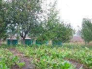 Лецьки з panoramio.com