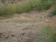 Жерденівка з panoramio.com