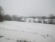 Куна з panoramio.com