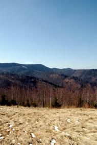 Букове з panoramio.com