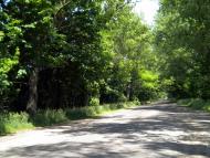 Кунин з panoramio.com