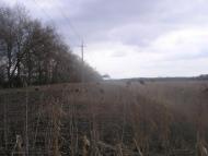 Жовтневе з panoramio.com