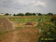 Тимошівка з panoramio.com