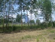 Білотин з panoramio.com