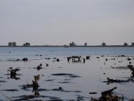 Кедина Гора з panoramio.com