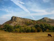 Пасічне з panoramio.com