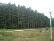 Кам'янка з panoramio.com