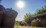 Краснопілка з panoramio.com - Краснопілка