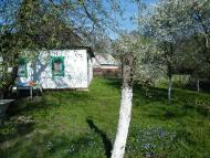 Пологи-Яненки з panoramio.com