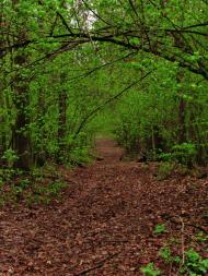 Гута-Ткачова з panoramio.com