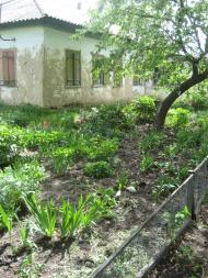 Северинівка