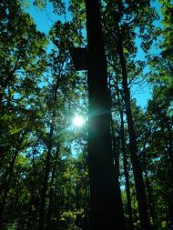 Бодячів з panoramio.com