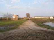 Халявин з panoramio.com