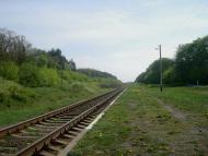 Шевченка з panoramio.com