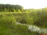 Марчихина Буда з panoramio.com