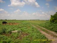 Тимошівка з panoramio.com