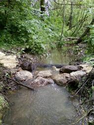 Великі Глібовичі з panoramio.com